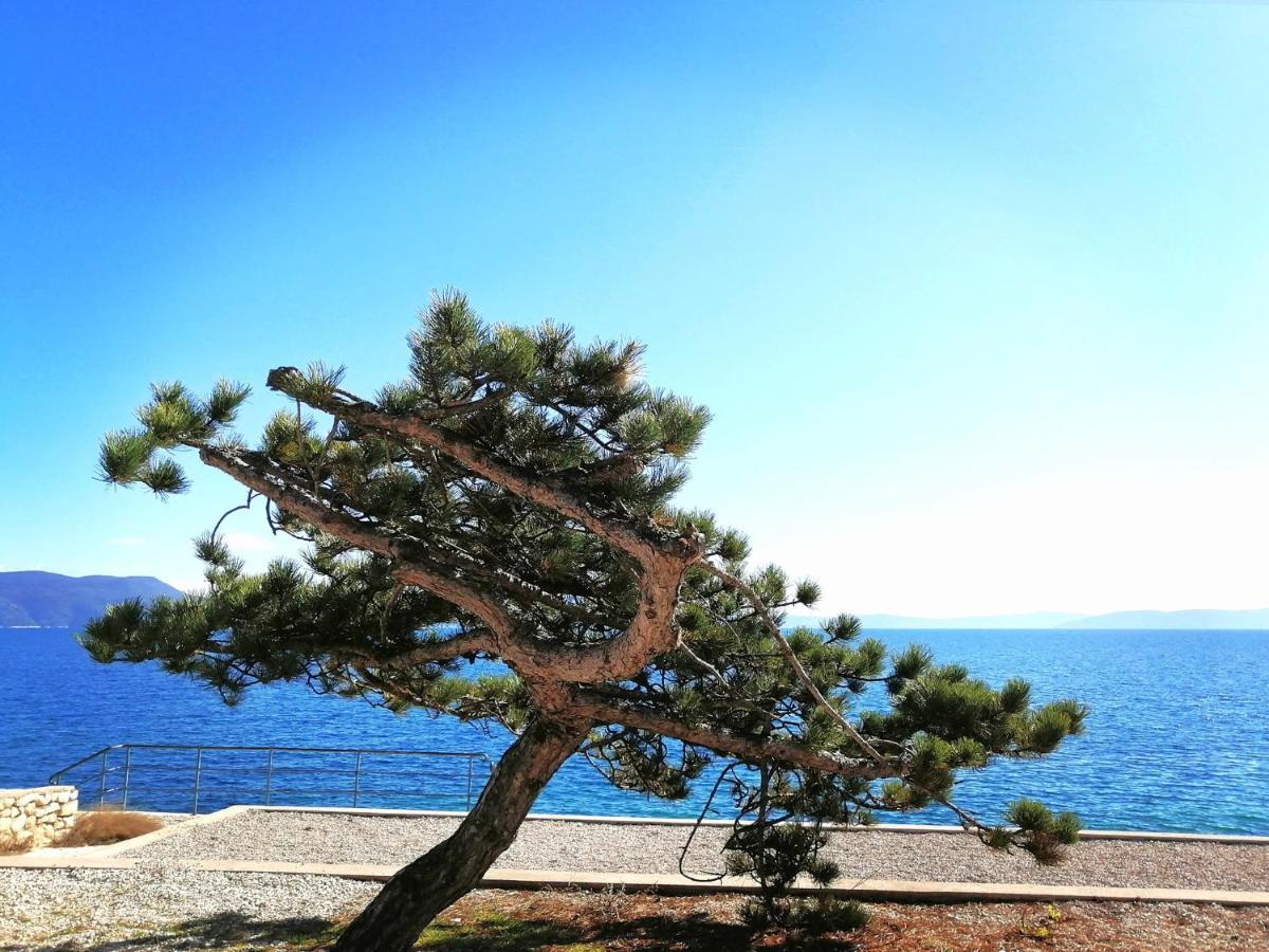 Apartment Layla - Intermezzo With Sea View In Center Of Rabac Eksteriør bilde